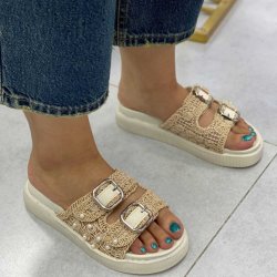 دمپایی مجلسی