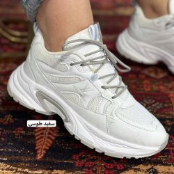 ال وی زاگرس