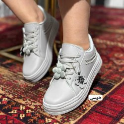 کتونی بابونه